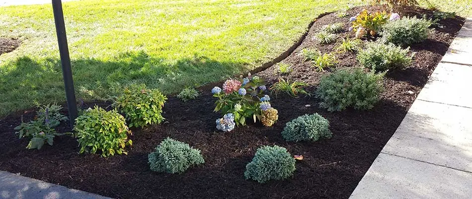 Commercial landscape bed installation near Haymarket, VA.