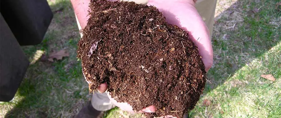 A lawn care worker holding compost in their hands near Haymarket, VA.