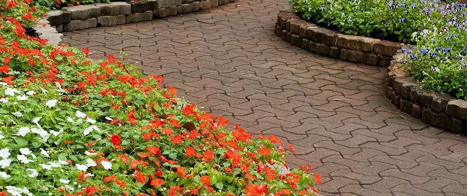 Custom paver walkway installed on a commercial property in Manassas, VA.
