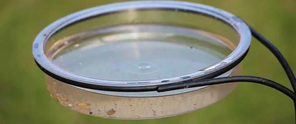 Stagnant water is a breeding ground for mosquitoes and is something we warn our customers about in our service area, including Haymarket.