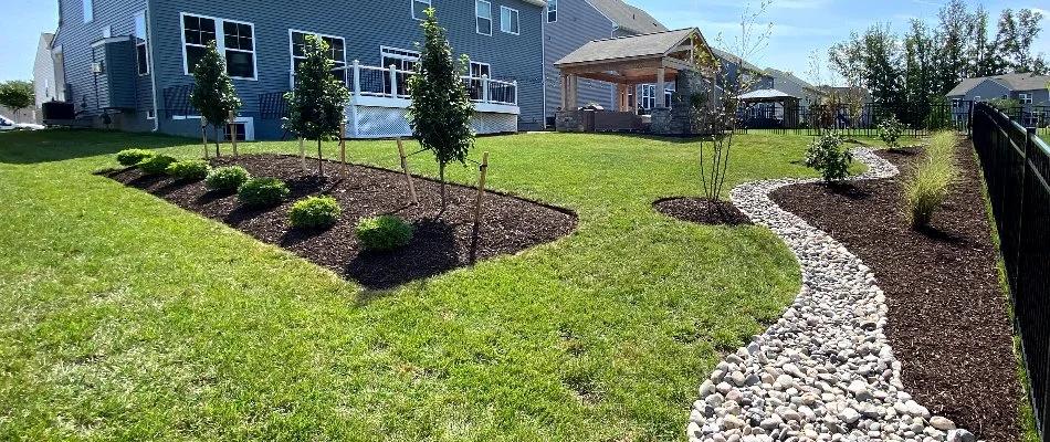 Clean yard in Bristow, VA, with trimmed shrubs and neat lawn and landscape.