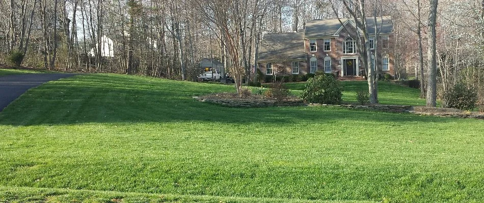 Fertilized green lawn in Bristow, VA, with trees.