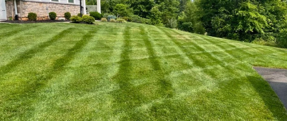 Front lawn with mowing stripes in Bristow, VA.