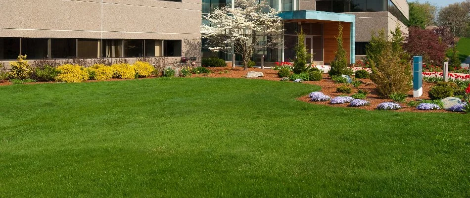 Green lawn and landscaping with a building in Bristow, VA.