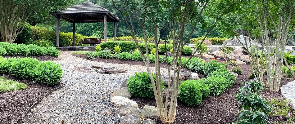 Manicured landscaping in Bristow, VA, with trimmed shrubs, mulch, and trees.