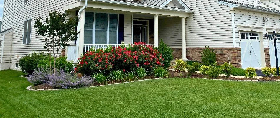Manicured yard in Bristow, VA, with green lawn and flowers on a mulched landscape area.