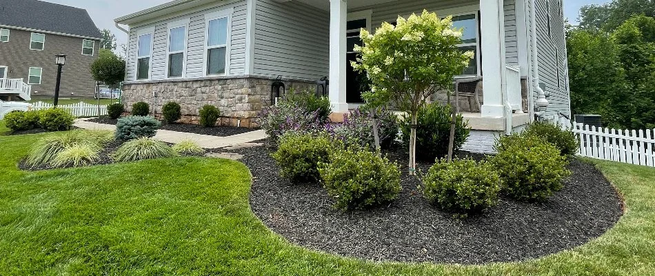 Manicured yard in Bristow, VA, with mulched landscape, shrubs, and green lawn.