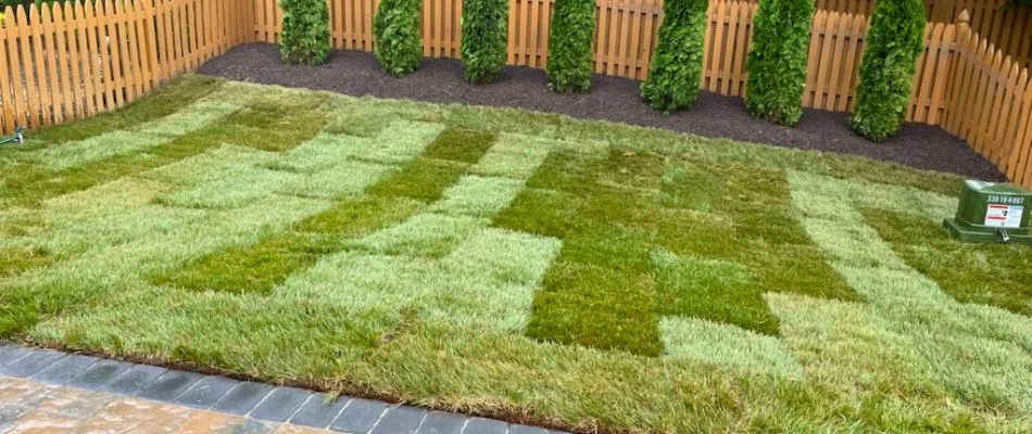 Newly installed sod in a backyard with fencing in Bristow, VA.