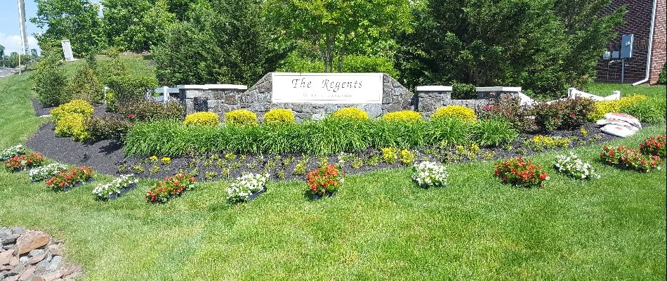 Nice landscaping and plants in front of a sign in Bristow, VA.
