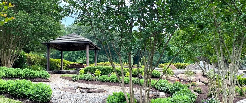 Trees and green shrubbery throughout a landscape.