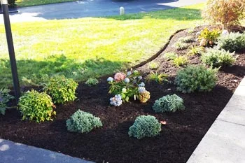 Regular landscape maintenance with fresh mulch in front of a home in Haymarket, VA.