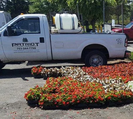 Contact Info For Patriot Lawn and Landscape, (703) 244-7798